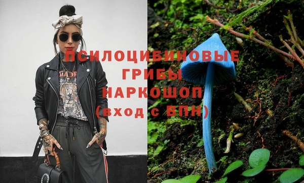 apvp Пролетарск